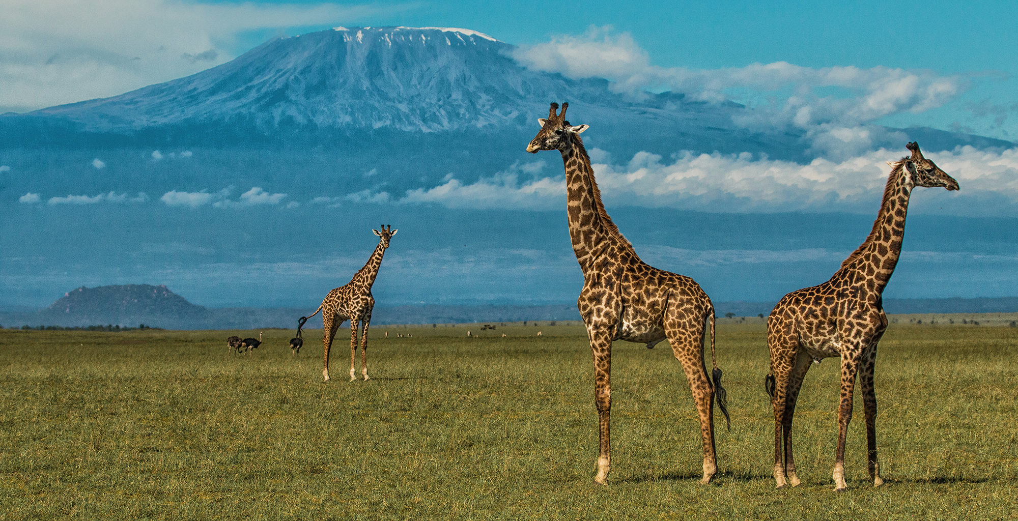 Top 7 National Park in East Africa